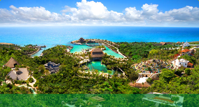 シカレXcaret