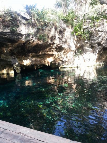 グラン・セノーテ-Grand Cenote